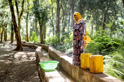 Reset projekt - Danida vandingskanaler i Etiopien