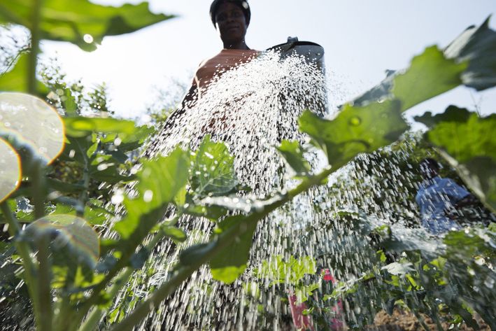 Illustration: CO2-kompensation for virksomheder igennem Folkekirkens Nødhjælp