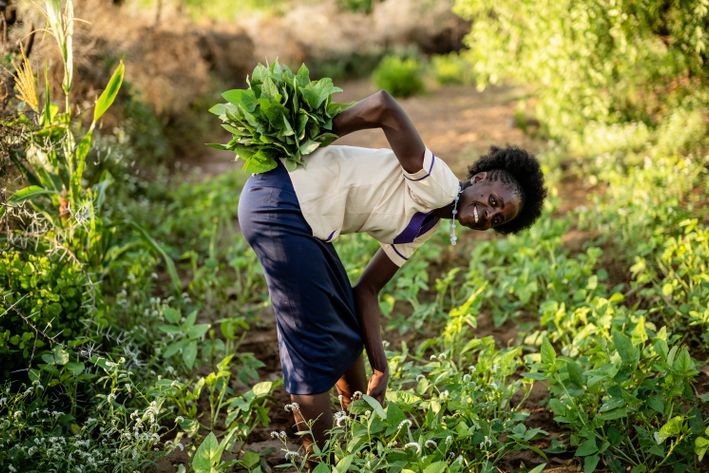 Kvinde arbejder i sin køkkenhave. Illustration til Folkekirkens Nødhjæpls klimahjælper.
