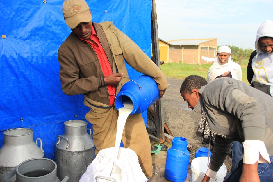 Arla yoghurt production in Sululta region
