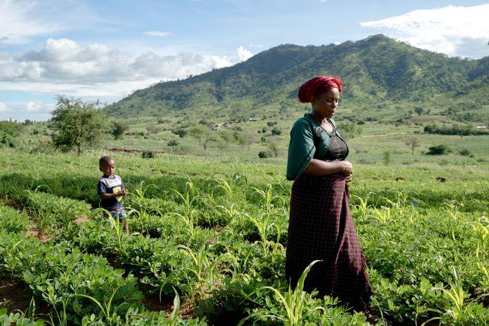 I den nærliggende landsby, Musiwira, bor Ellah Gondwe og Racheal Kumwenda. De to kvinder er naboer og beskriver sig selv, som en del af et team – et fællesskab, der tilbage i 2016 modtog kyllinger og træning i kyllingehold af Folkekirkens Nødhjælp. Kyllingerne er der stadig, men deres historier handler om meget mere end det.