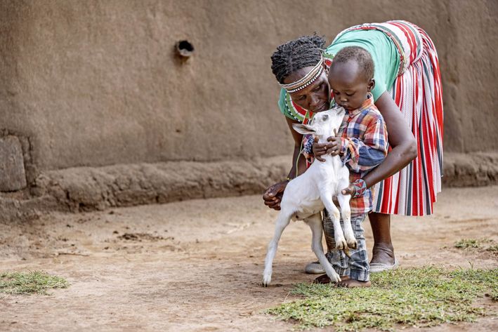 Barnebarnet Thaddeus på knap 2 år er også vild med geder.