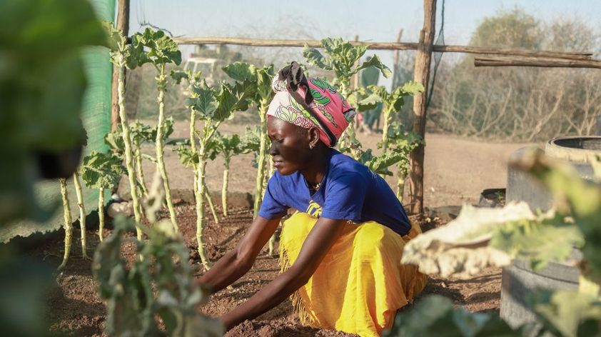Emily tending to her crops in her vegetable garden.