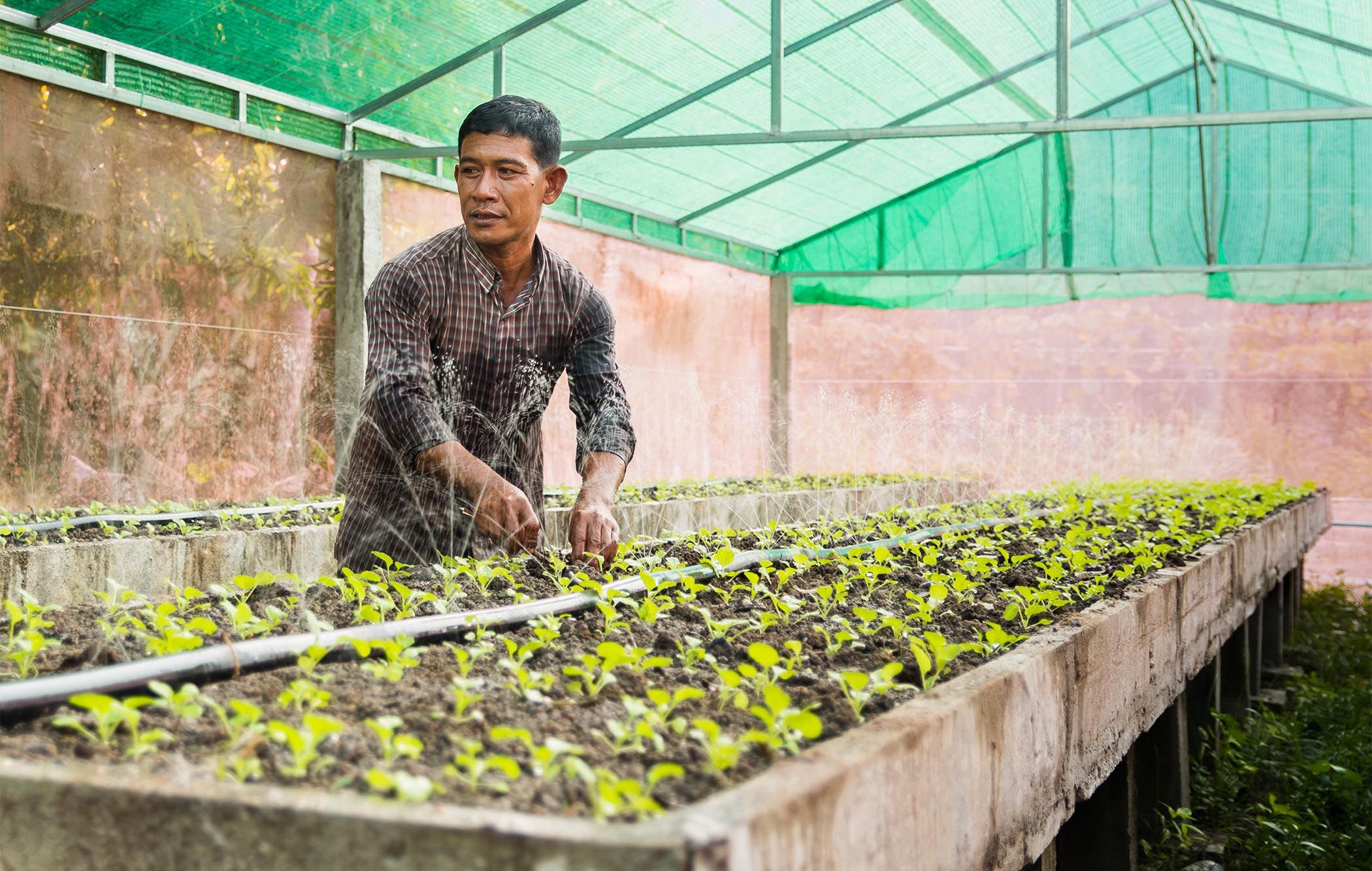 Mr. Chork Thoiurn plejer køkkenhave og underviser andre landmænd i Cambodia