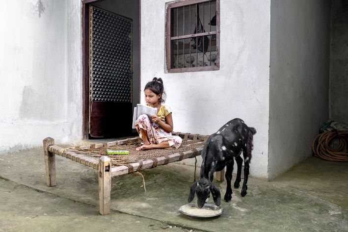 En ged står ved siden af en lille pige, der sidder på en seng og læser