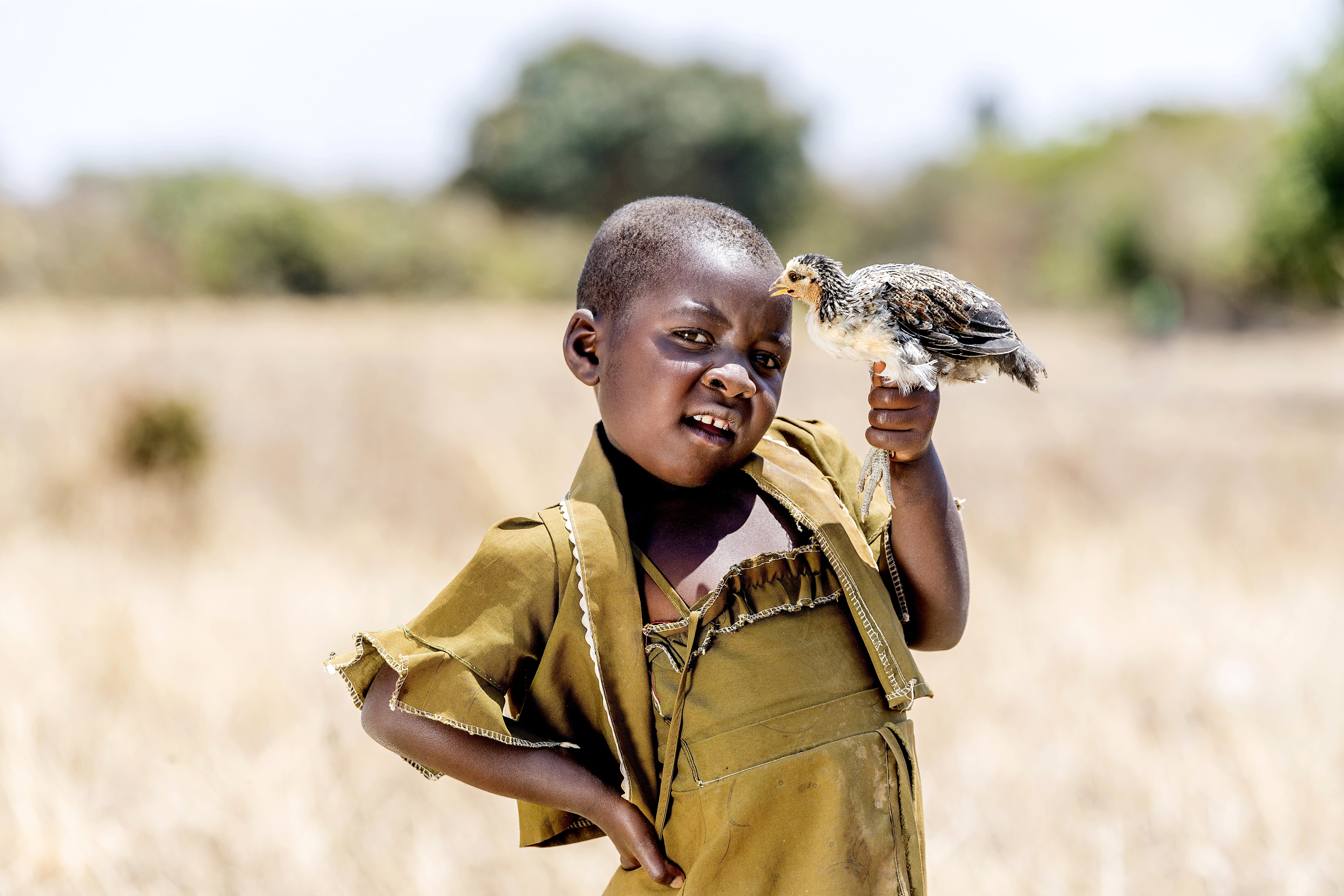 Ung pige står med en lille kylling i hånden