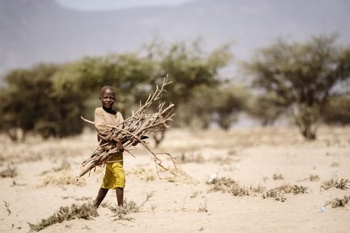 Dreng bærer grene henover sand