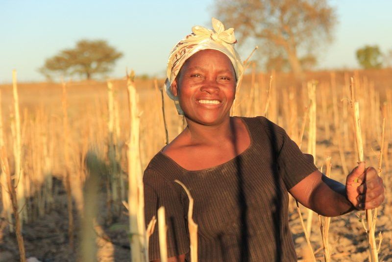 Kvinde i quinoa-mark