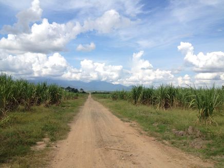 Landevej med marker og bjerge i baggrunden