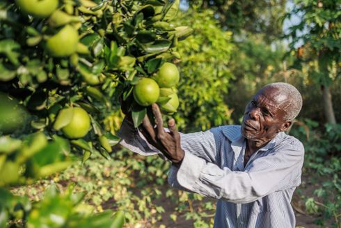 Illustration: Varmere vejr giver enorme udfordringer