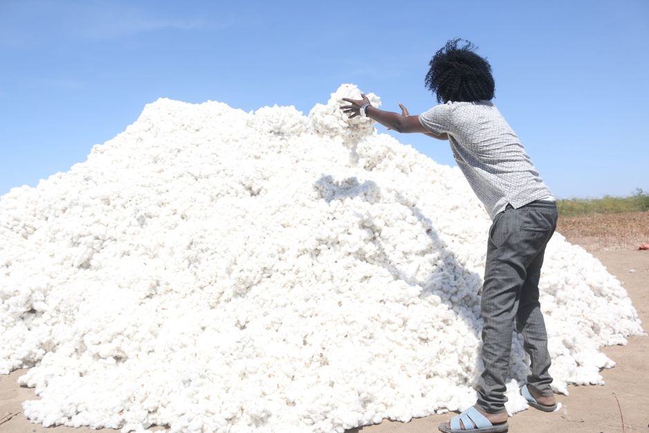 Community Led Adaptation for Climate Resilience and Green Income Opportunities in Ethiopia