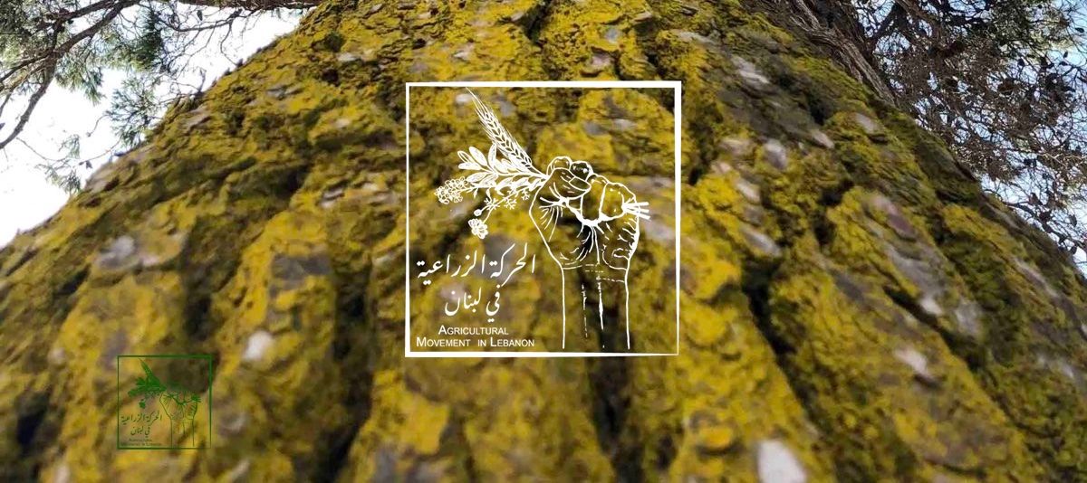 Local Partner in Lebanon, AgriMovement