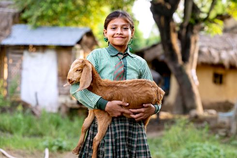 Yngre pige står med et lille gedekid. Illustration til Giv en ged-kampagnen fra Folkekirkens Nødhjælp.