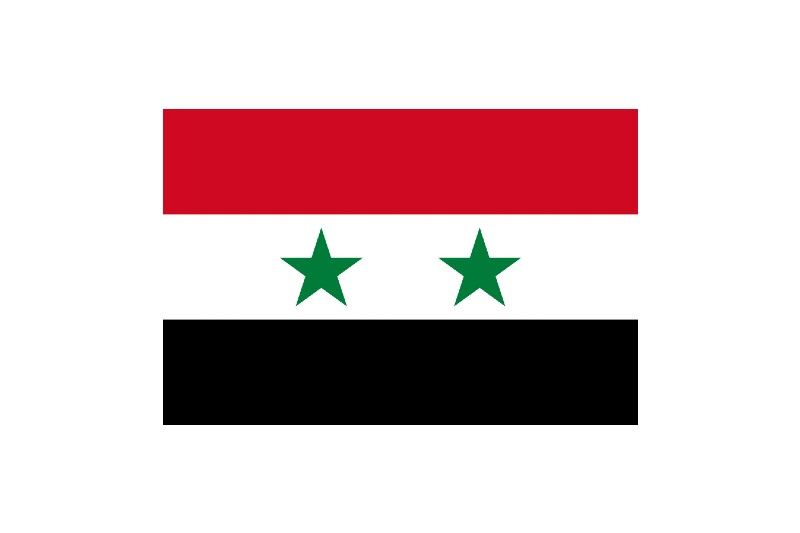 Nationalflag for Syrien