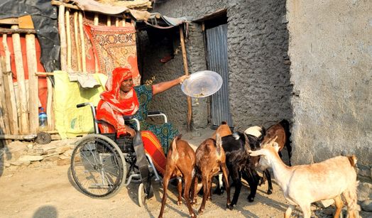 Halima looking after her goats
