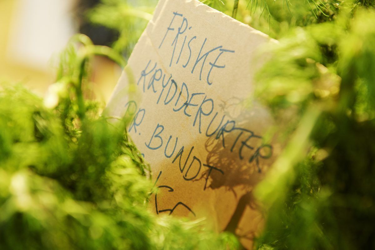 Wefood - generisk billede