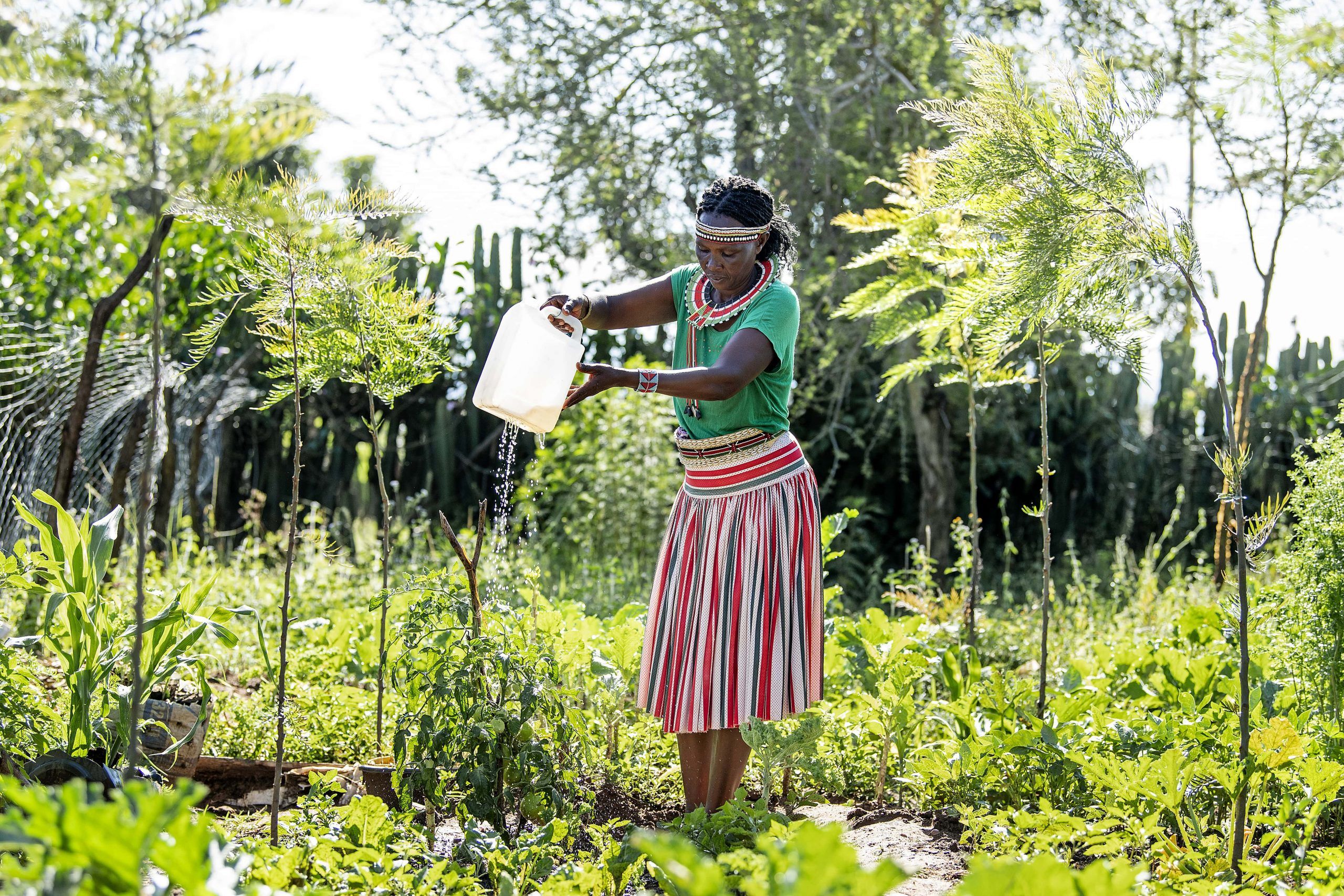 Grace Peto vander sin køkkenhave i Kenya - Giv en ged - Folkekirkens Nødhjælp