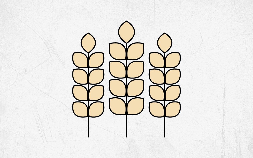 Grafisk illustration af hvede