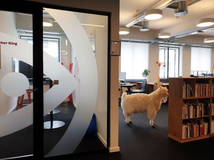 En ged står på Folkekirkens Nødhjælps kontor i Meldahlsgade, København.