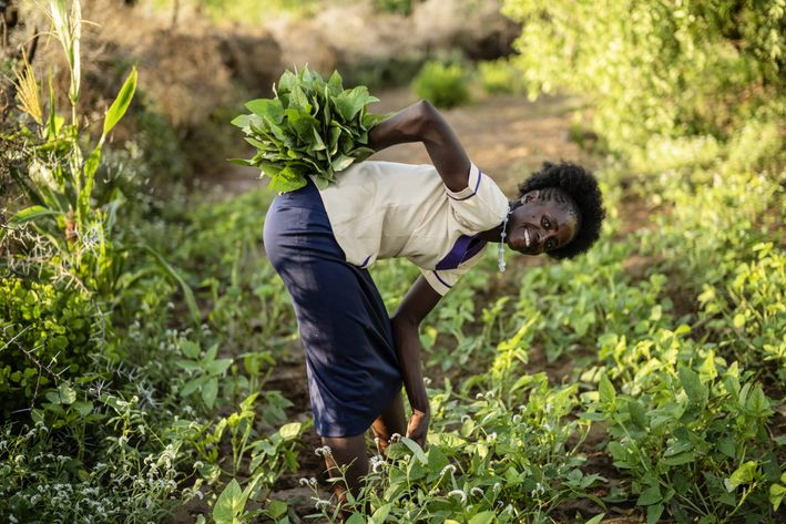 Kvinde arbejder i sin køkkenhave. Illustration til Folkekirkens Nødhjæpls klimahjælper.