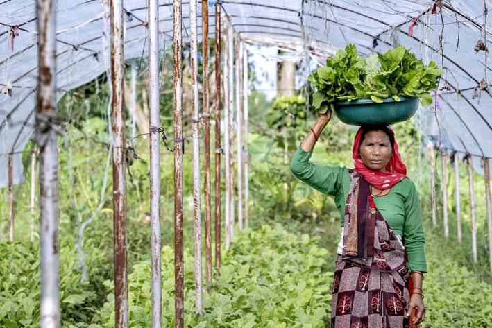 Kvinde står i en køkkenhave og bærer en spand fyldt med grønsager på hovedet