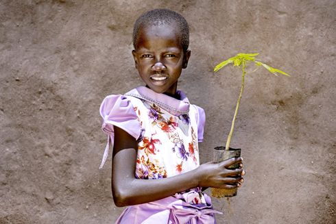 Pige med lilla kjole står med en træspire i hånden. Illustration til produktet. Giv et træ fra Folkekirkens Nødhjælp.